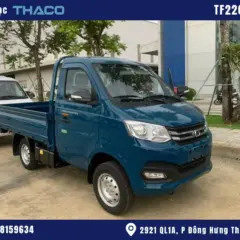 xe-tải-nhẹ-990kg (6) hình ảnh xe tải thaco 990kg